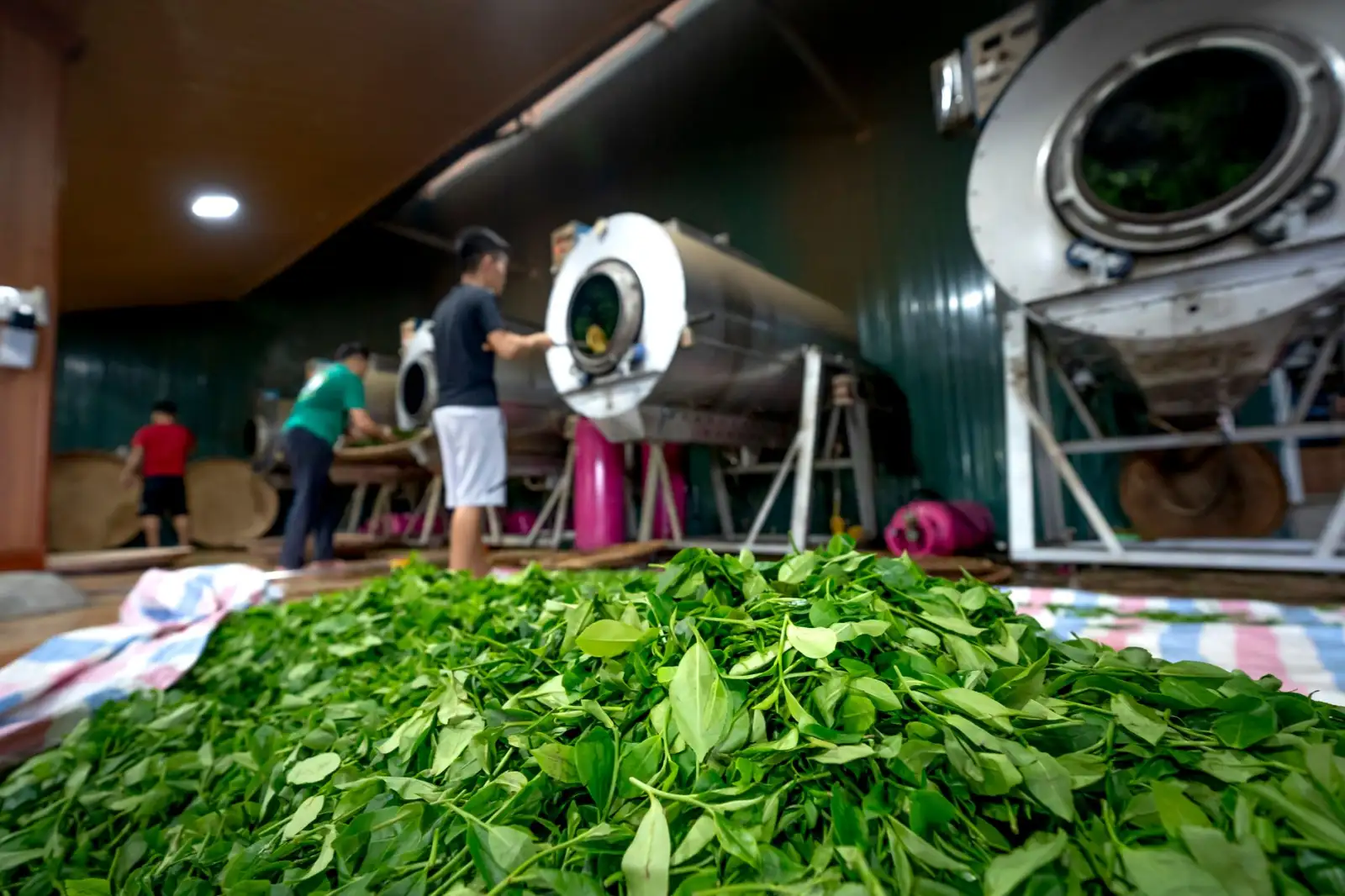上海昆仡广告设计:中小企业品牌LOGO与VI视觉系统一体化设计流程解析